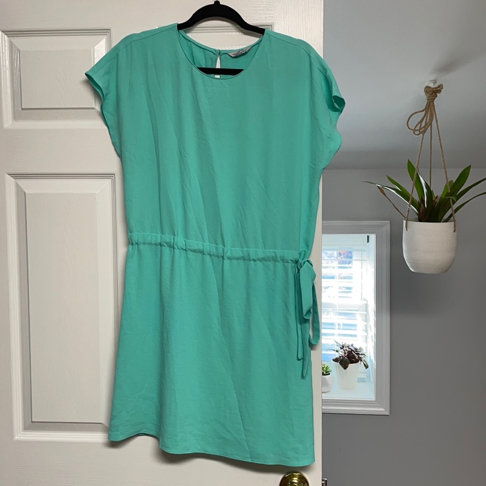 Naked Zebra Tie Waist Dress